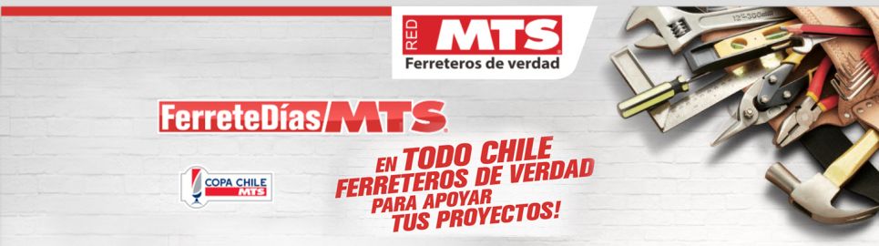 Mira nuestro suplemento “Ferretedías MTS”